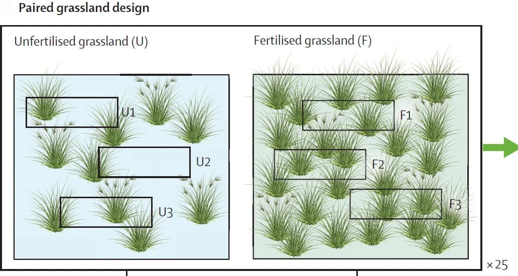 Open access visualization of Illustration, Workflow, Pollen Sampling, Grassland, Transects