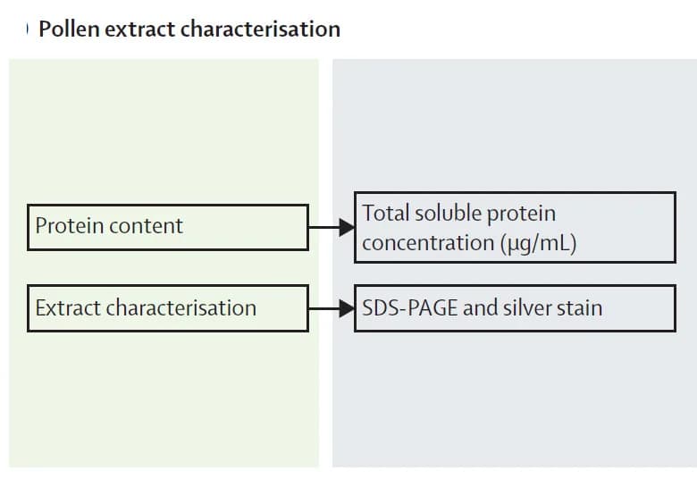 Open access visualization of Workflow, Flowchart, Protein Concentration, Sample Normalisation, SDS-PAGE