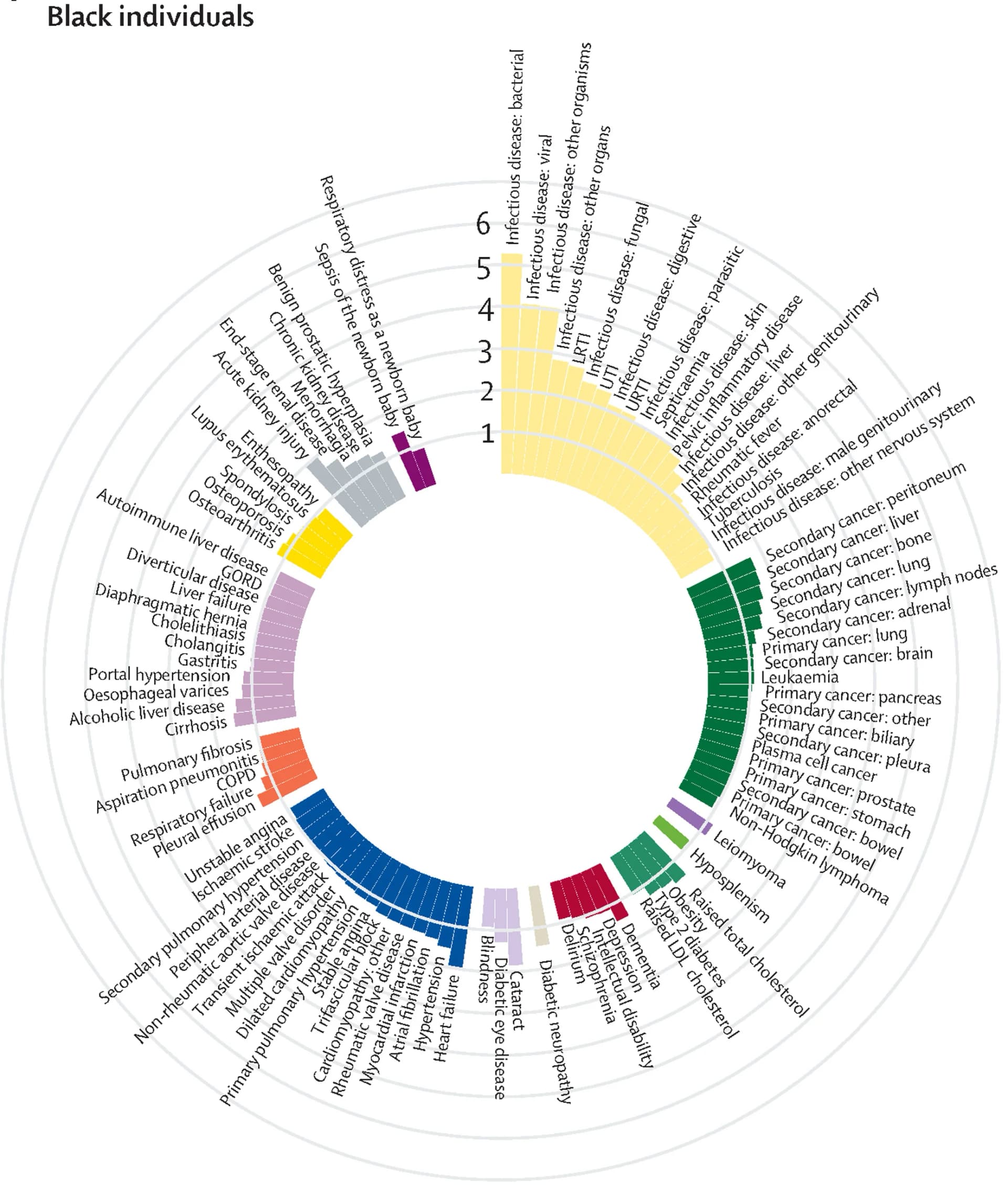 Open access visualization of Bar Plot, Multimorbidity coefficient, Partial correlation, Risk factors, Disease pathways