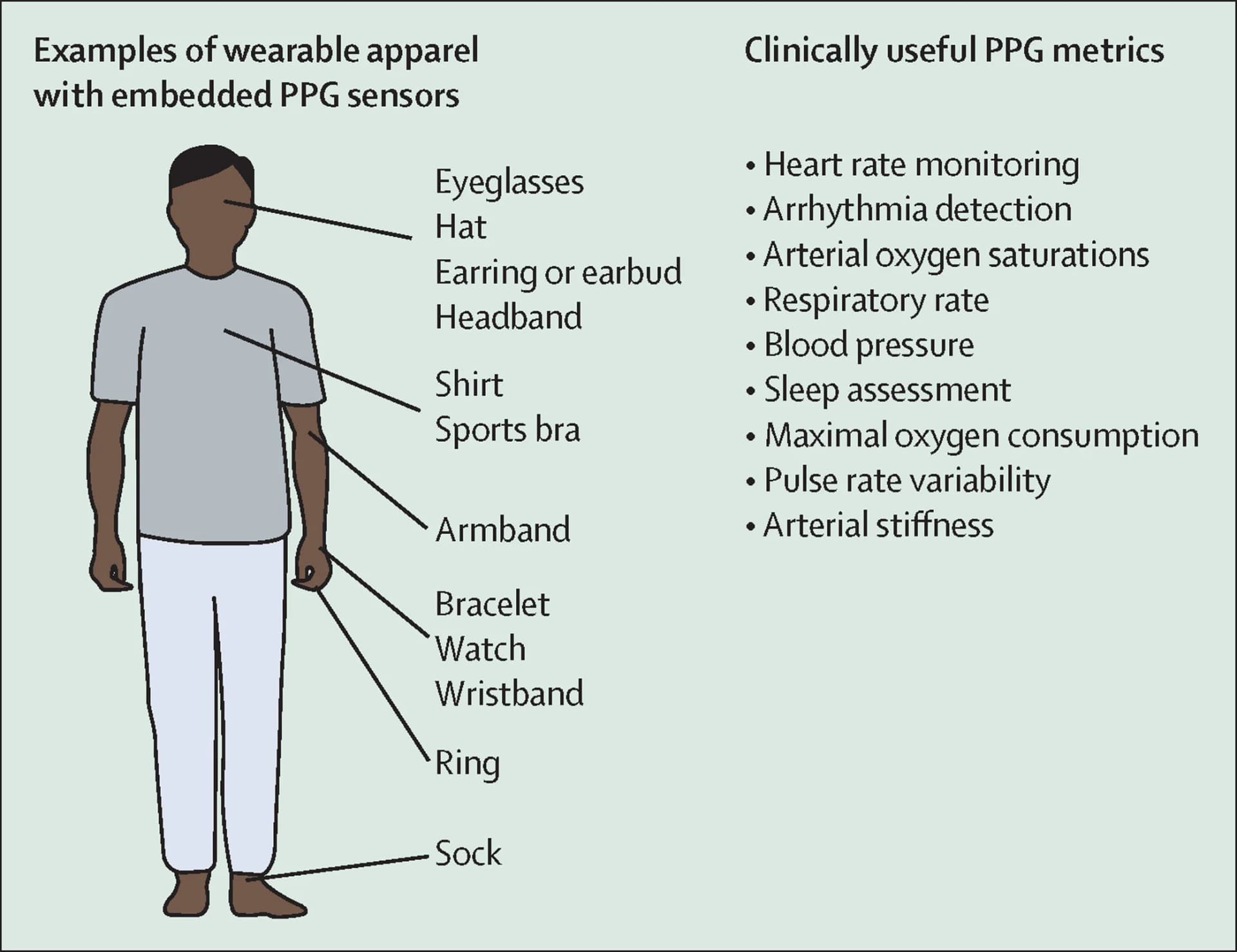 Open access visualization of Illustration, Photoplethysmography, Wearable Apparel, Cardiovascular Health