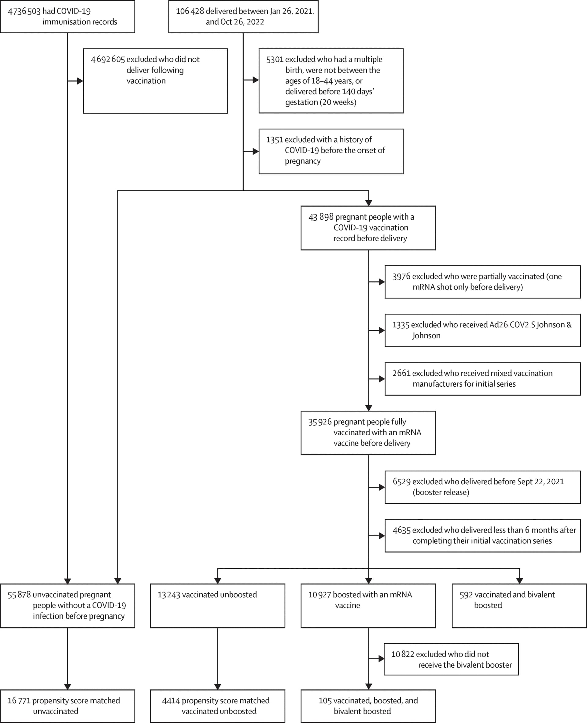 Open access visualization of Workflow, Flowchart, Electronic Health Records, Vaccination Records, COVID-19 Vaccines