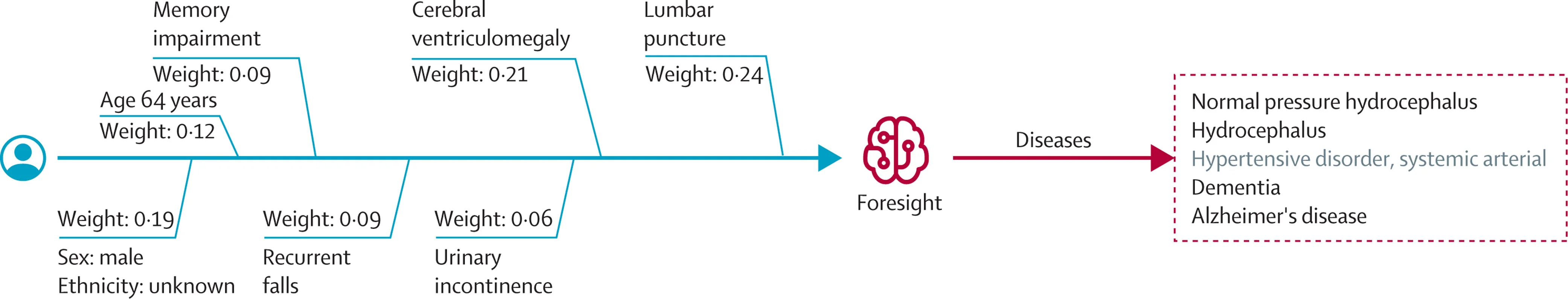 Open access visualization of Workflow, Flowchart, Saliency, Weight, Normal Pressure Hydrocephalus