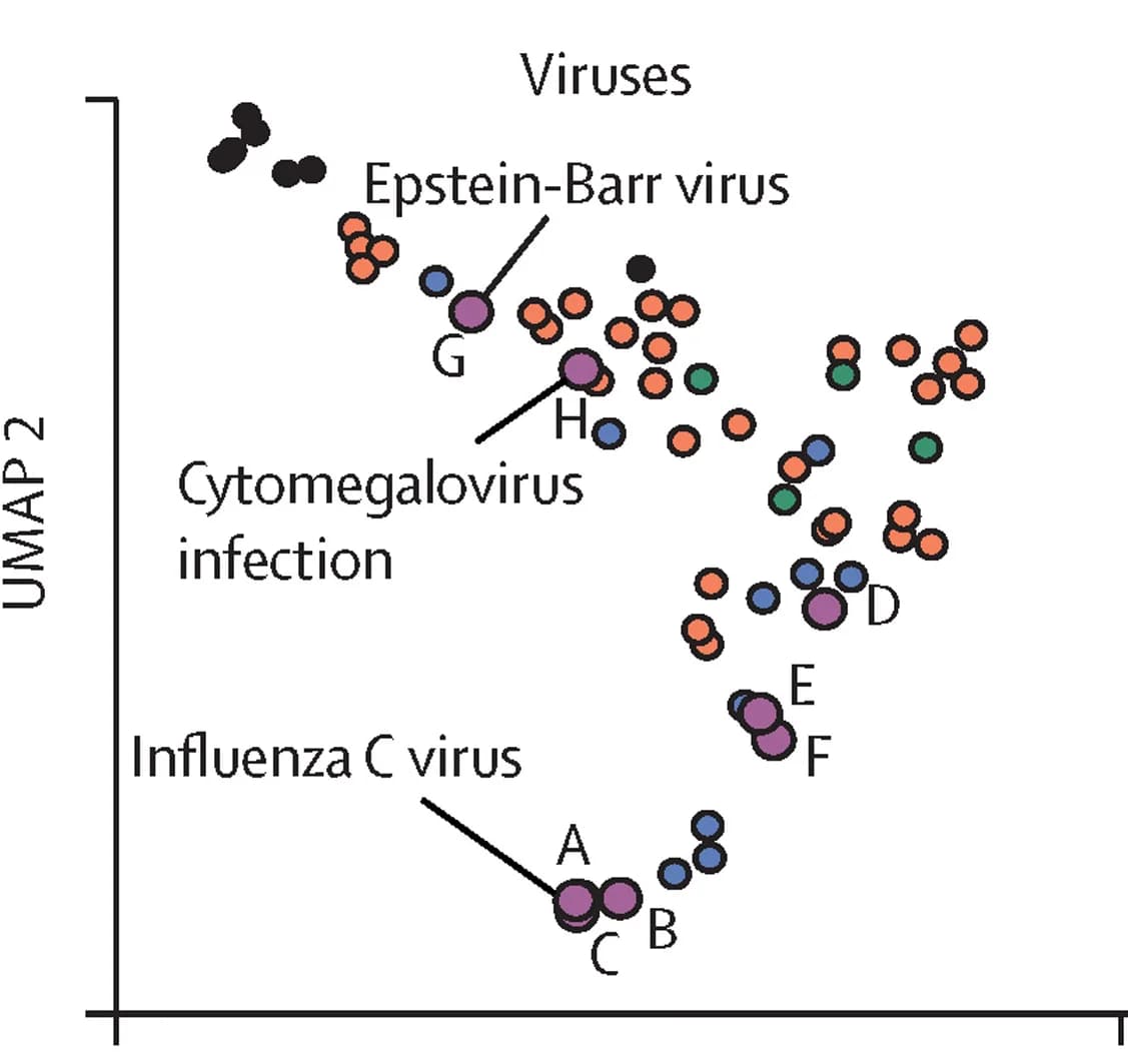 Open access visualization of UMAP, Scatter Plot, Transcriptomes, Virus-positive Samples, Virus-negative Samples
