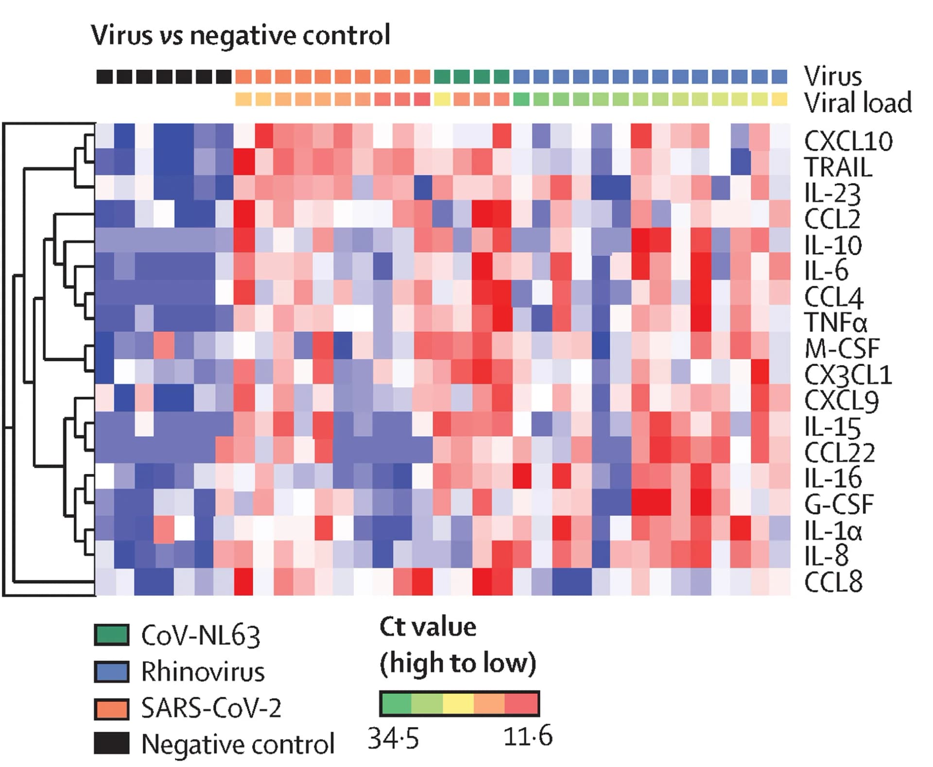 Open access visualization of Heatmap, Clustered, Cytokines, Viral Load, Health-Care Workers
