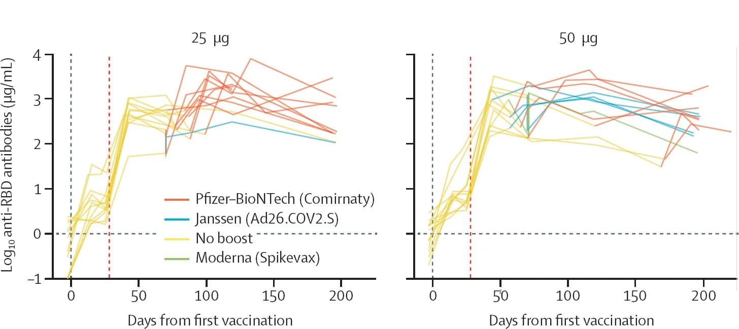 Open access visualization of Line Plot, RBD-specific Antibodies, Vaccination, ABNCoV2, SARS-CoV-2 Vaccines