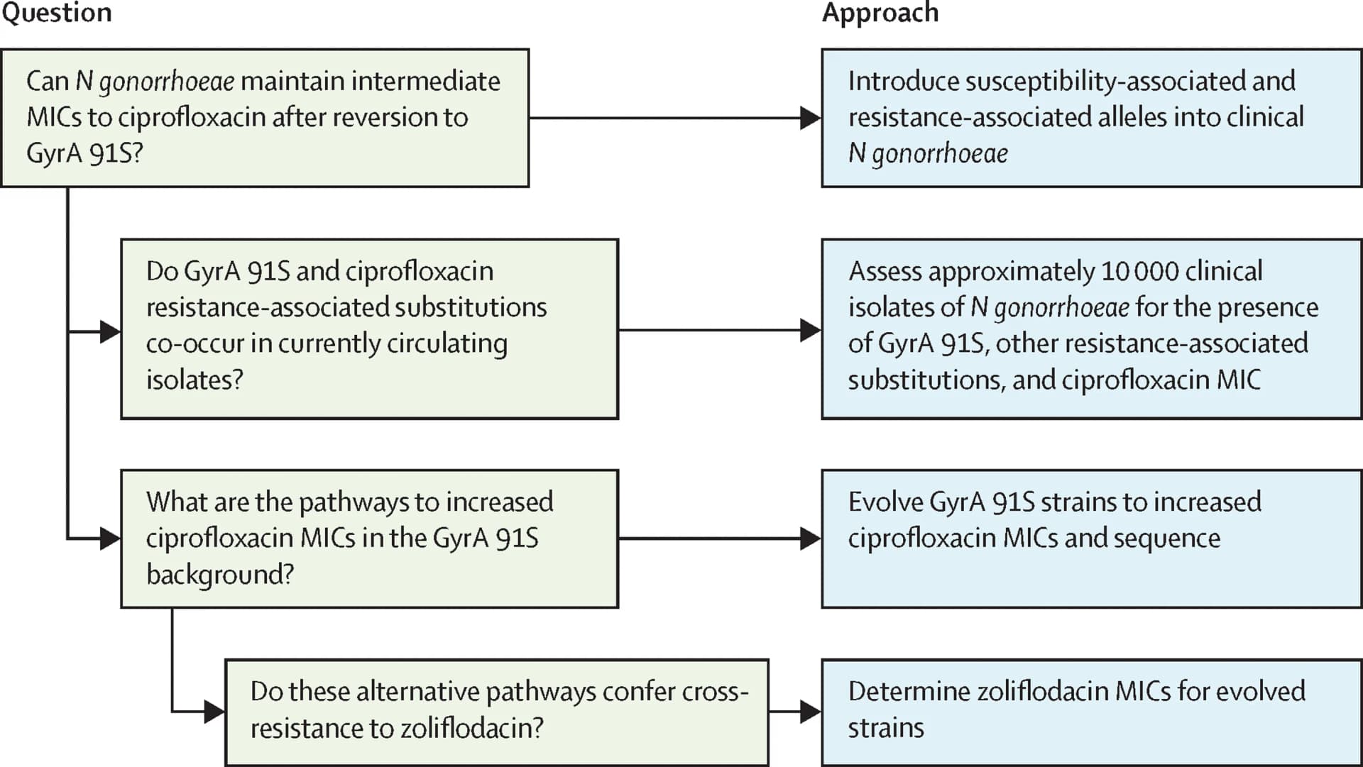 Open access visualization of Workflow, Flowchart, MIC, Cefiderocol, Gram-negative bacteria