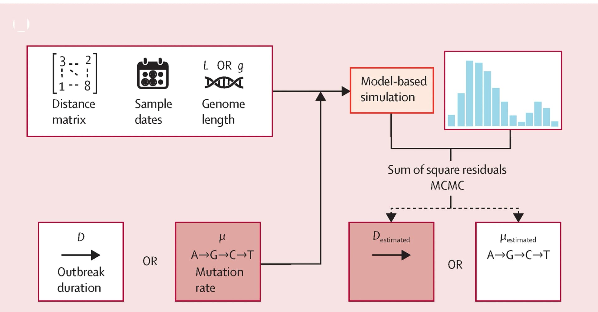 Open access visualization of Workflow, Flowchart, Genetic Distance Matrix, Outbreak Duration, Substitution Rate