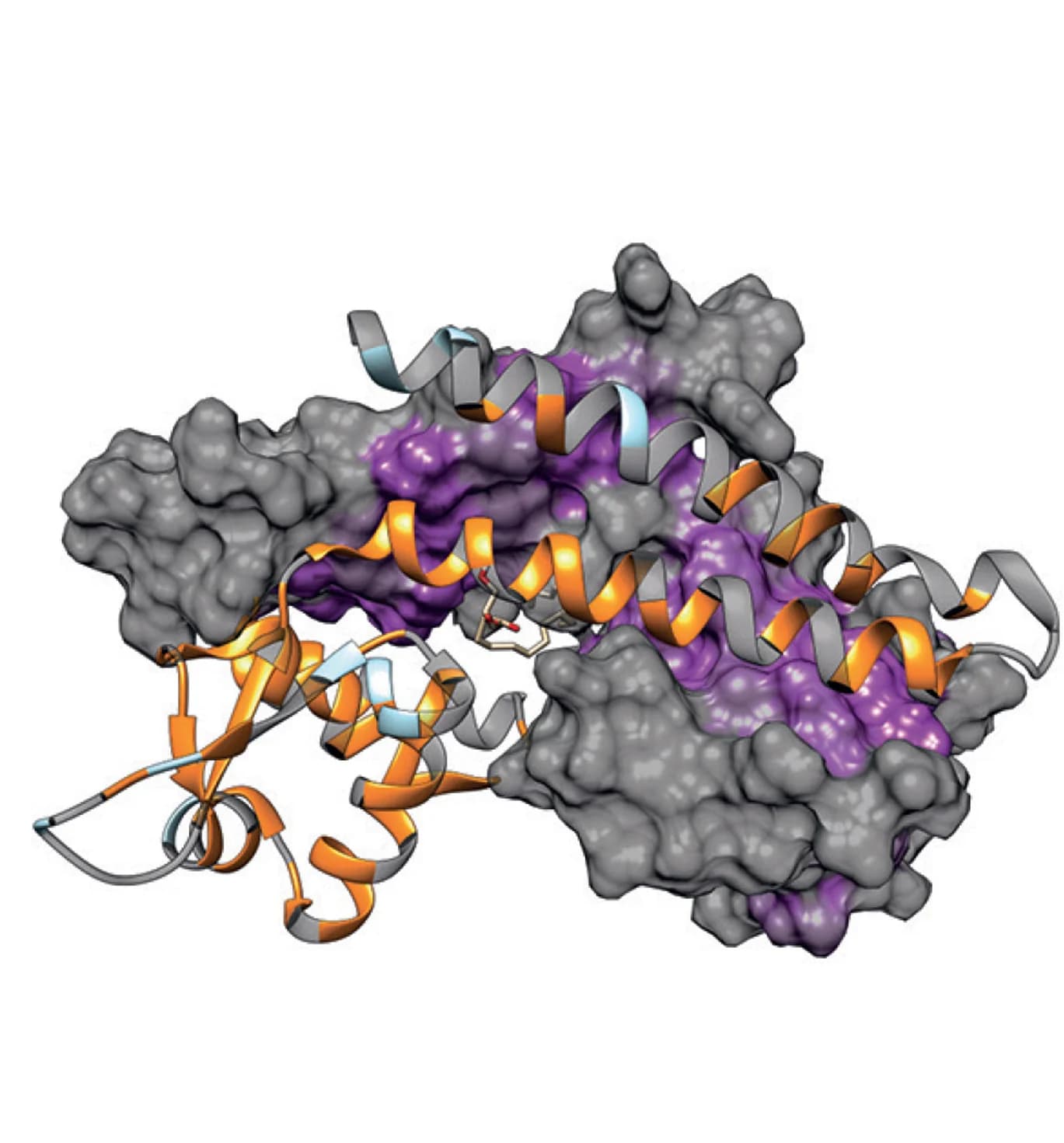 Open access visualization of Protein Structure, Resistant Mutations, Hydrophobic Dimerisation Domain