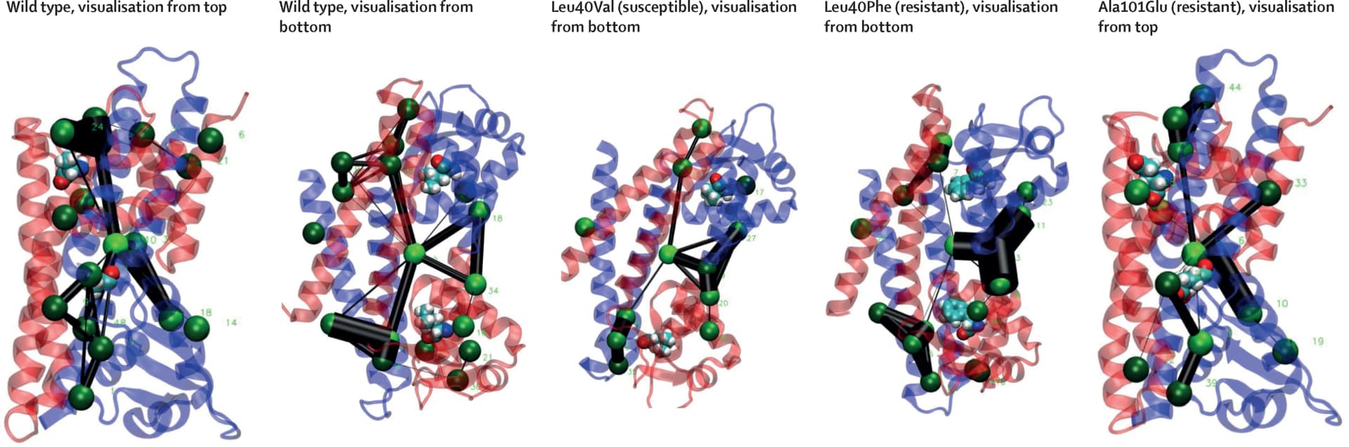 Open access visualization of Protein Structure, Chemical Structure, Pocket Crosstalk, Allosteric Signalling, Network Analysis