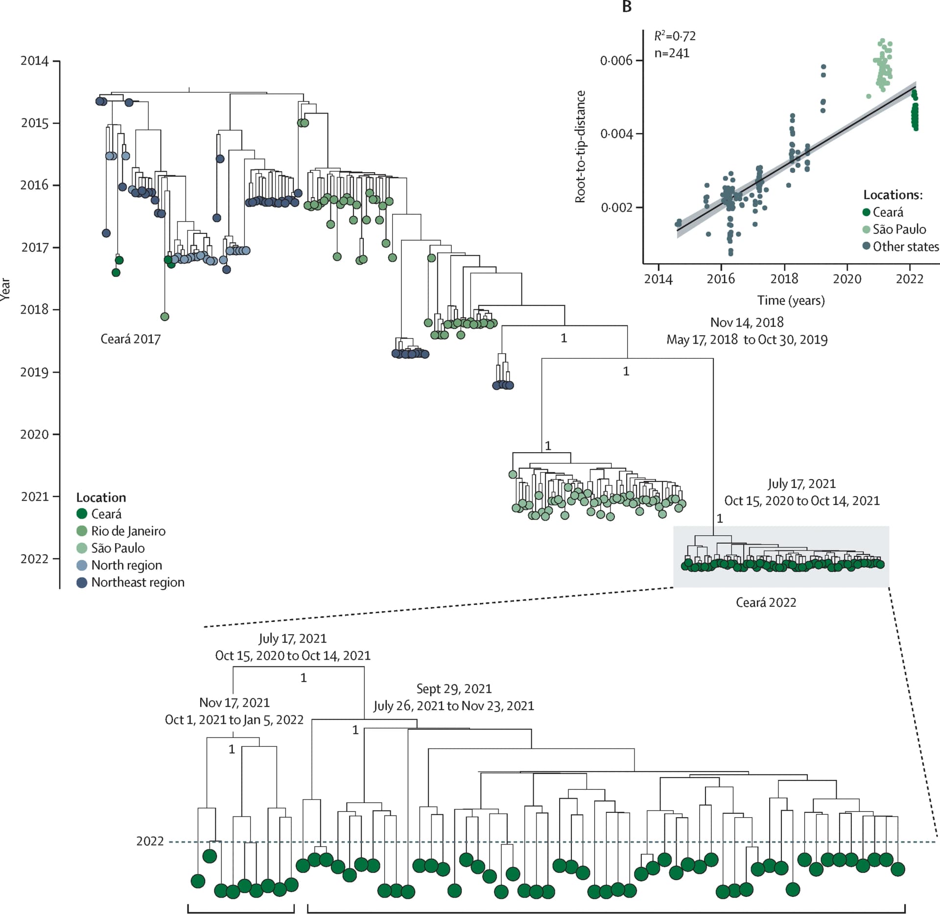 Open access visualization of Scatter Plot, Regression Plot, Network, Maximum Clade Credibility Tree, CHIKV Genomes
