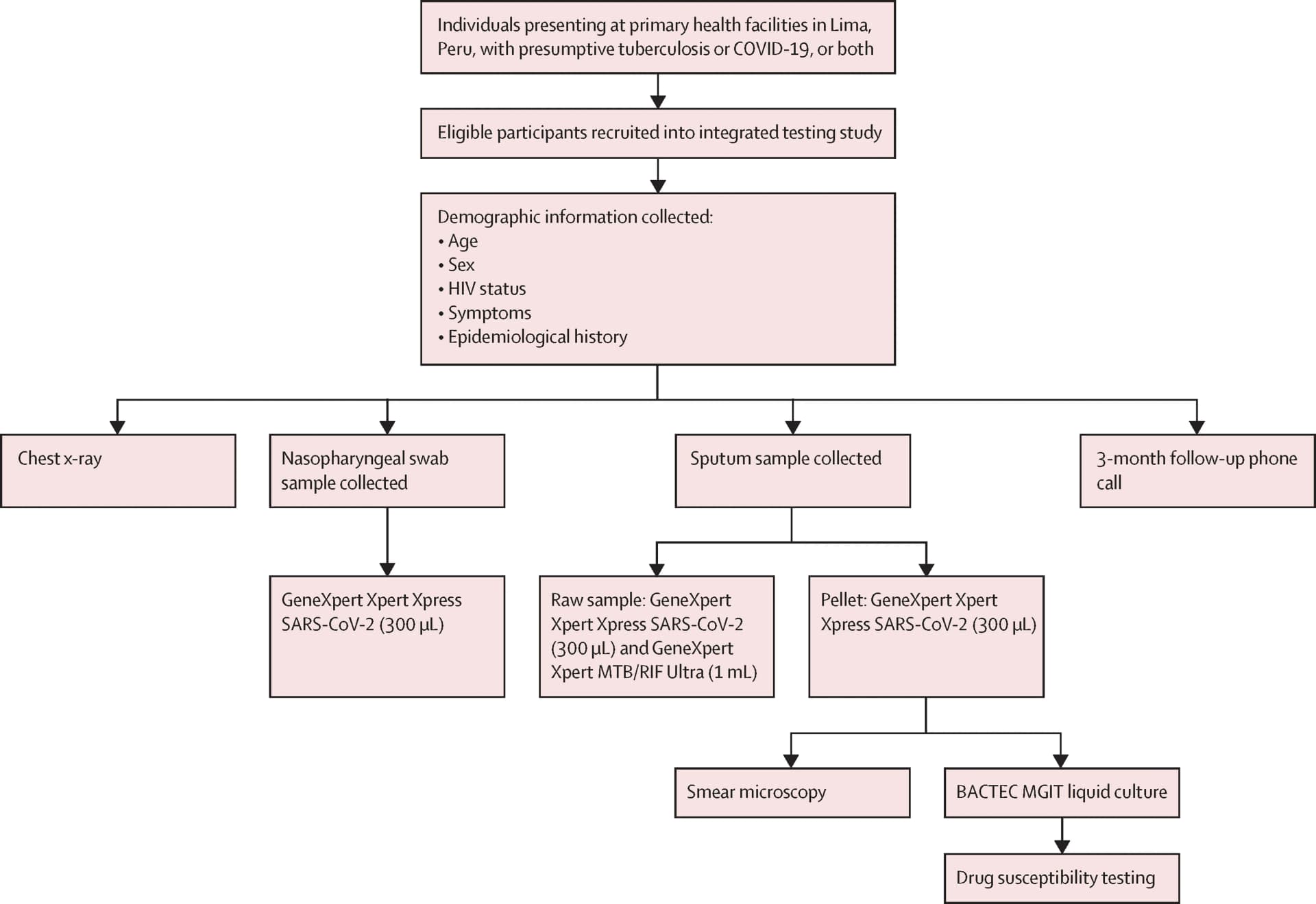 Open access visualization of Workflow, Flowchart, Nasopharyngeal Swab, Sputum Sample, Follow-up