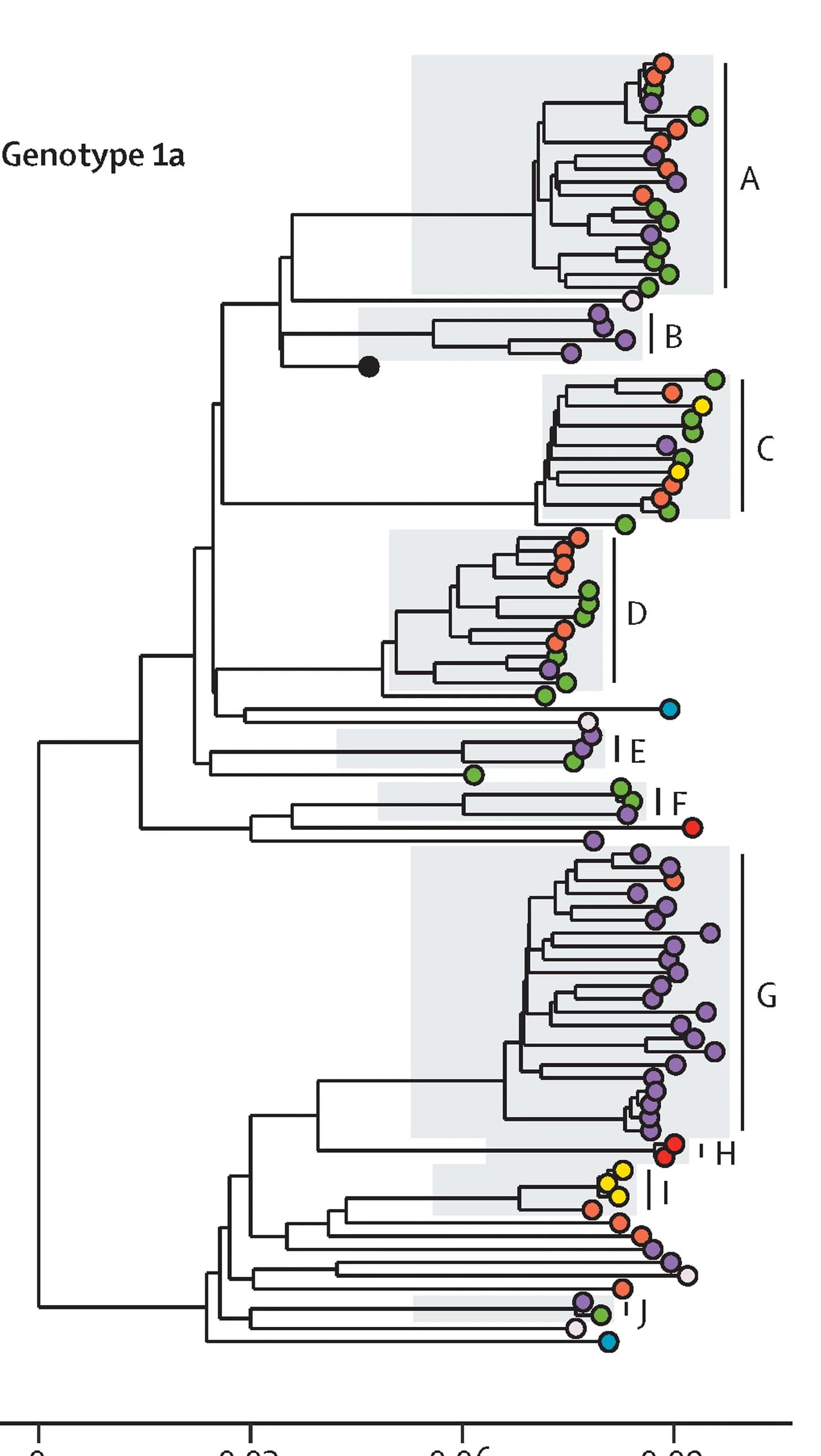 Open access visualization of Network, Pathway, Phylogenetic Tree, Genotype 1a, Transmission Clusters