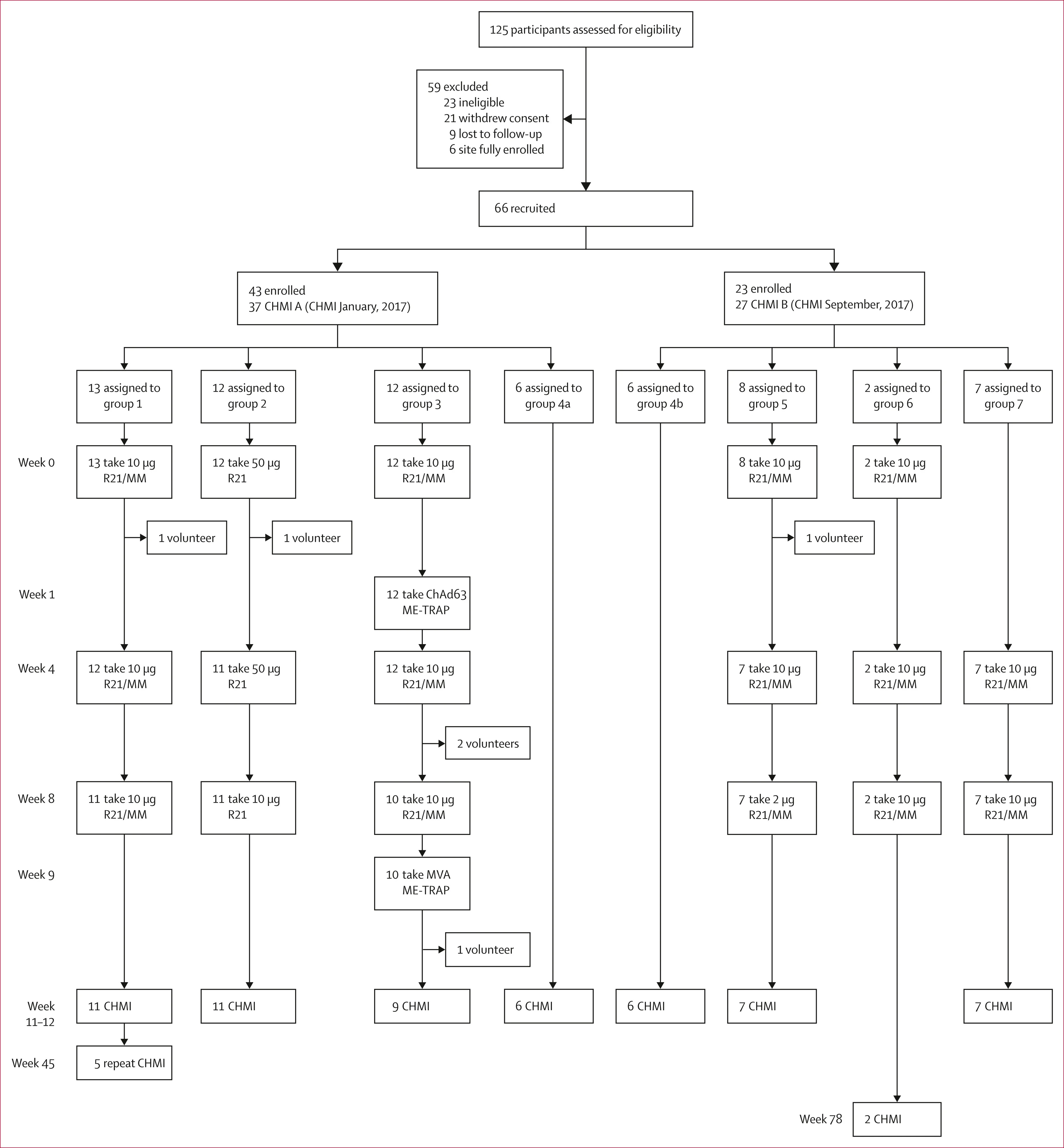 Open access visualization of Workflow, Flowchart, Healthy Adults, CHMI, Malaria