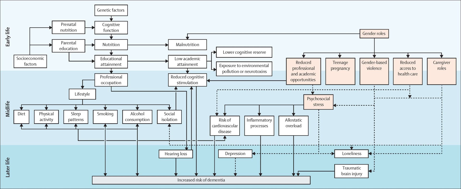 Open access visualization of Workflow, Flowchart, Dementia, Risk Factors, Cognitive Decline