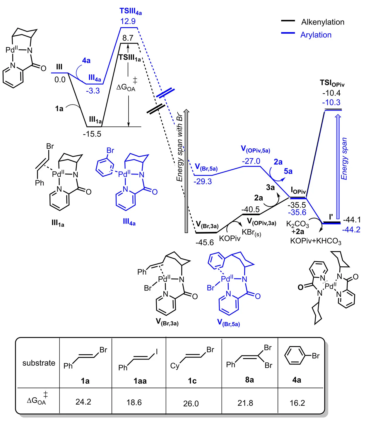 Open access visualization of Line Plot, Workflow, Table Image, Energy Diagram, Alkenylation