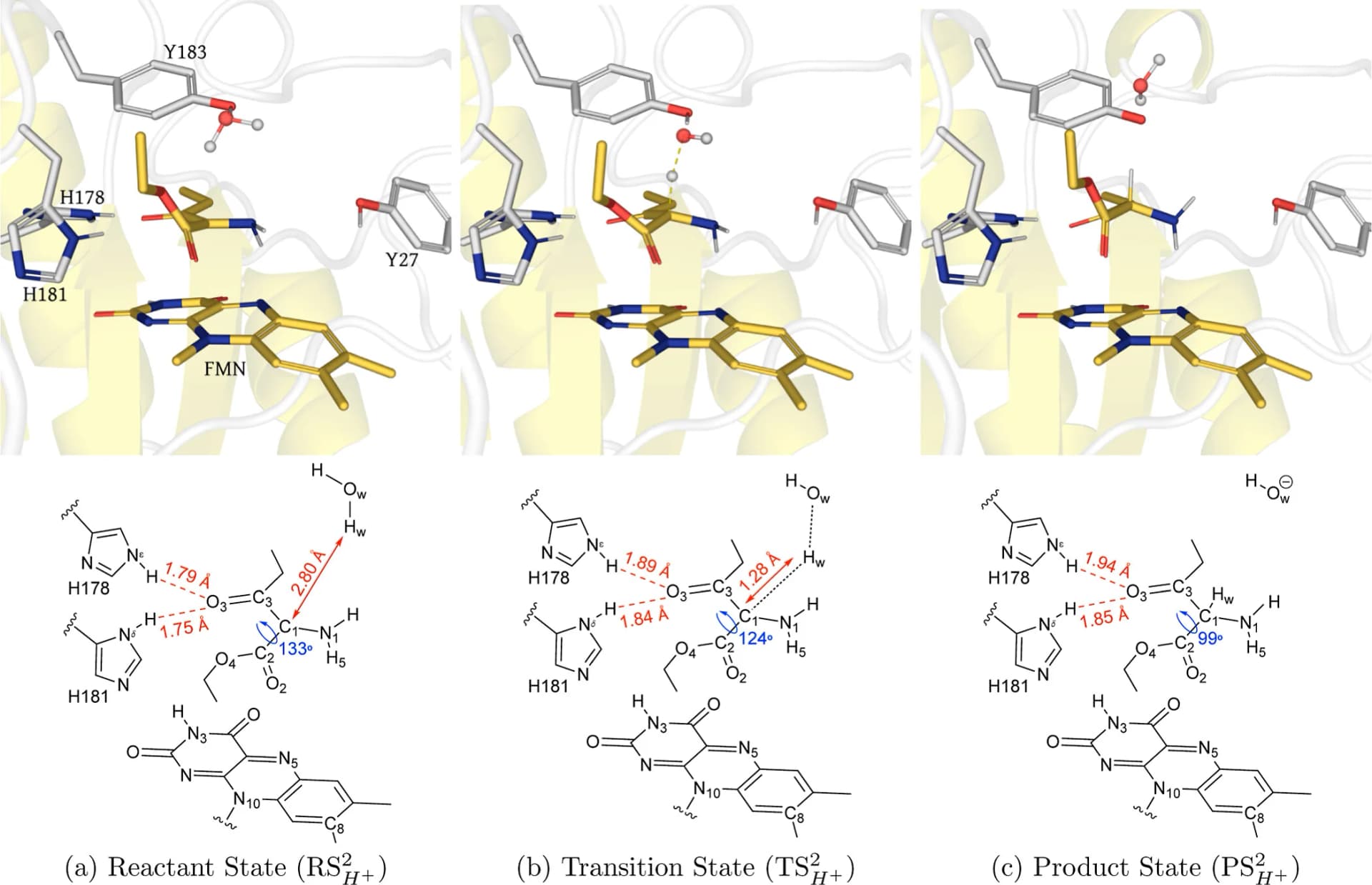 Open access visualization of Protein Structure, Chemical Structure, QM/MM, UB3LYP-6-31G*/OPLS2005, XenA