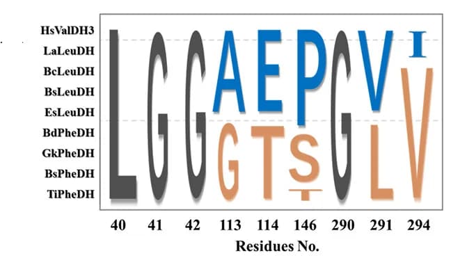 Open access visualization of Illustration, Phylogenetic Analysis, Residues, Side-Chain Binding Site