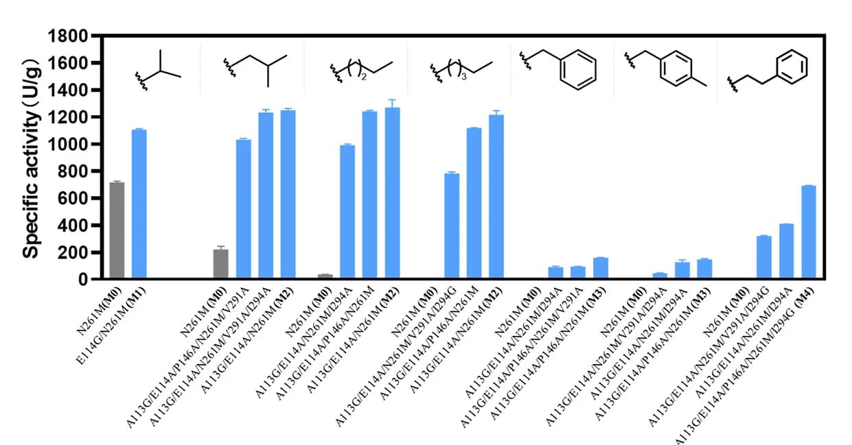 Open access visualization of Bar Plot, Error Bars, Screening Results, Specific Activity, Mutants
