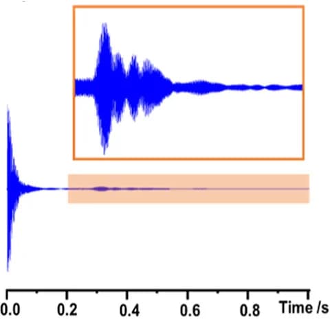 Open access visualization of Line Plot, Free Induction Decay, Hyperpolarized Sample, NMR Spectra