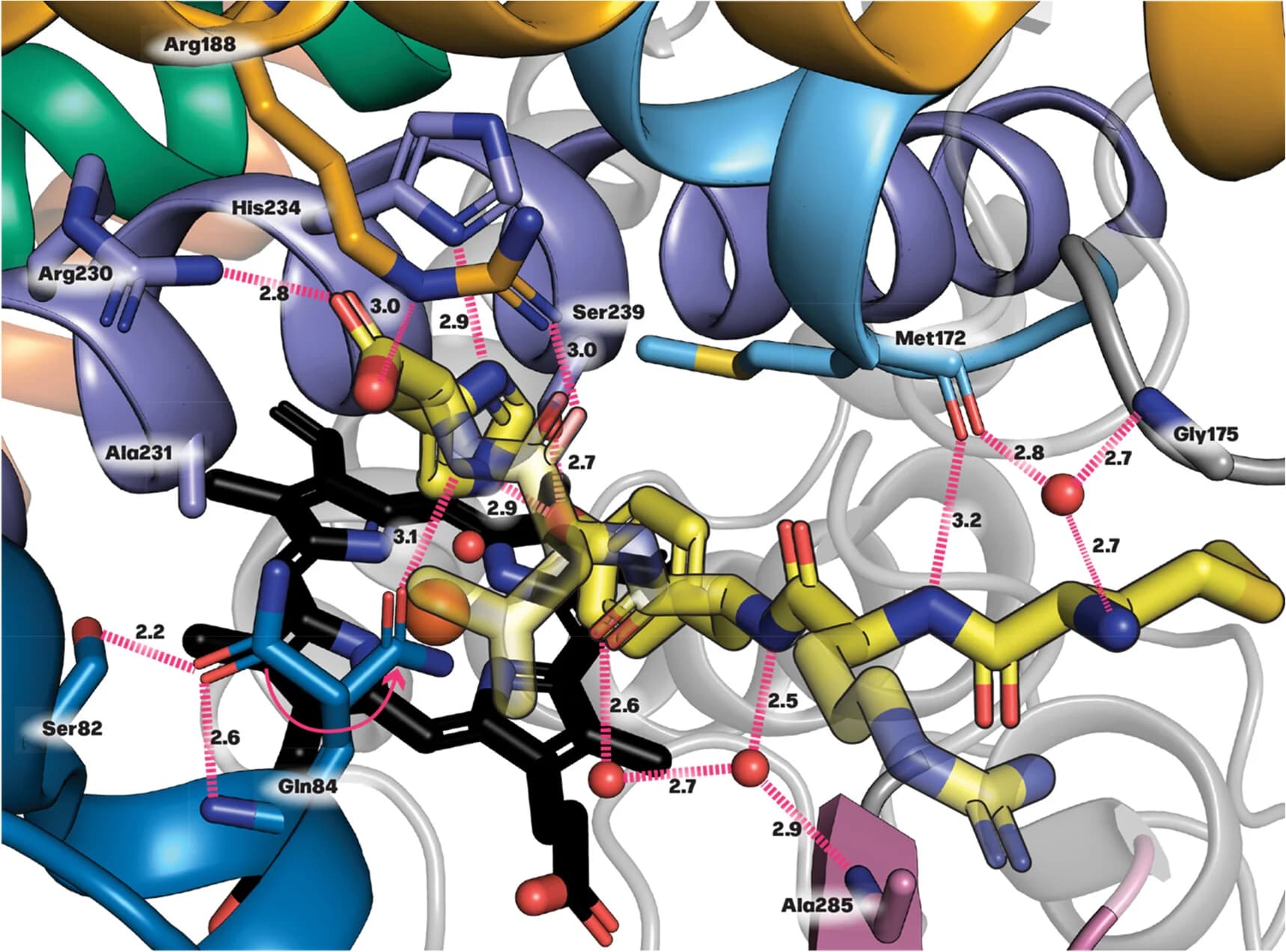 Open access visualization of Protein Structure, Chemical Structure, MRYLH Peptide, P450Blt, Active Site
