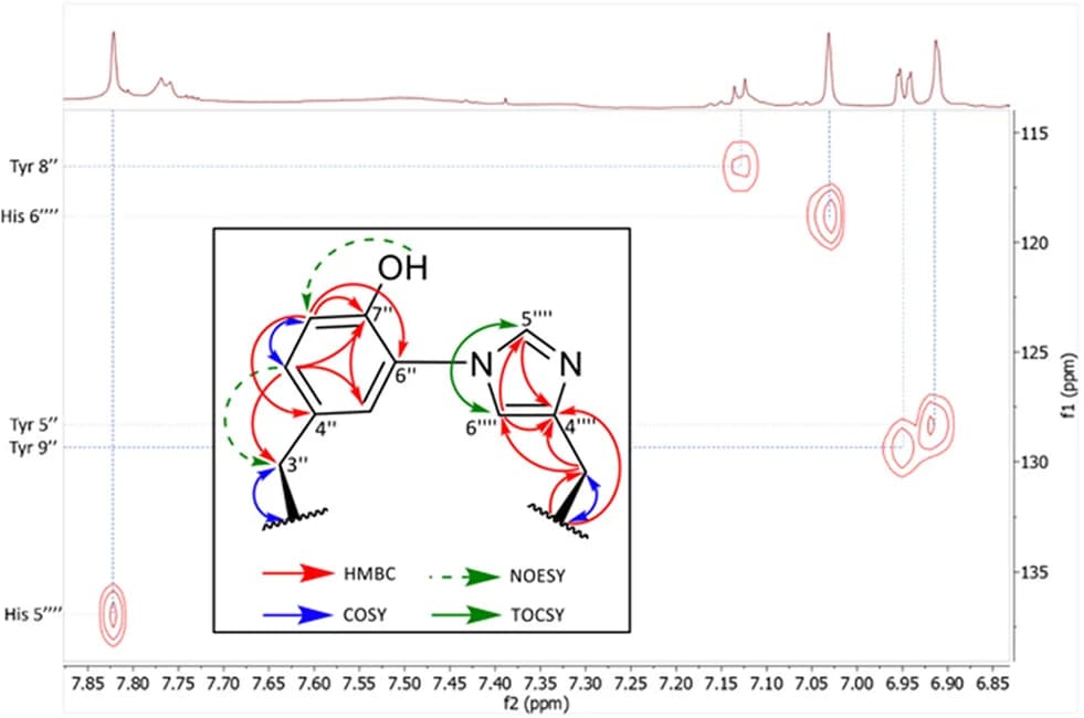 Open access visualization of Scatter Plot, Line Plot, Chemical Structure, NMR HSQC Spectrum, Cross-link