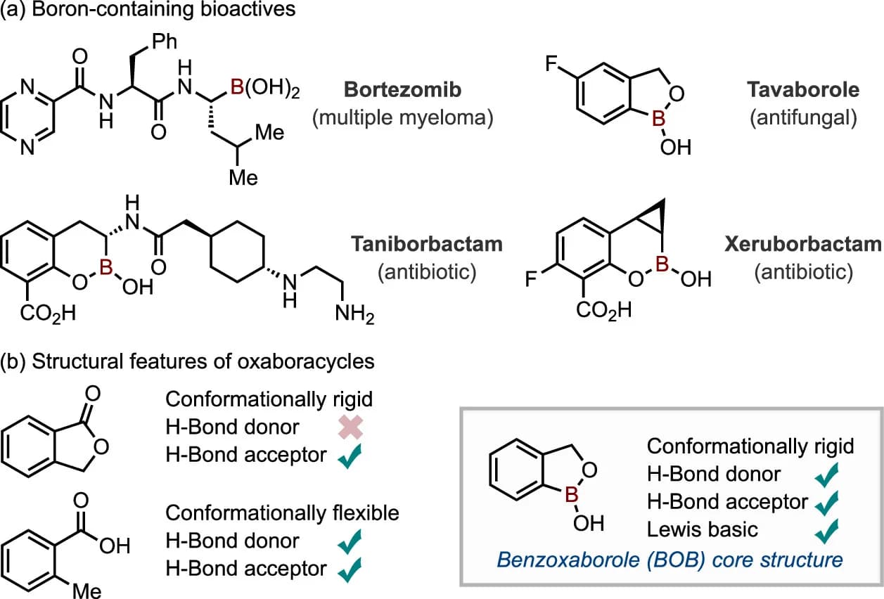 Open access visualization of Chemical Structure, Boron, Bioactives