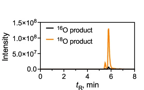 Open access visualization of Line Plot, Mass Trace, 17alpha-16OH Progesterone, 17alpha-18OH Progesterone, 18O Incorporation