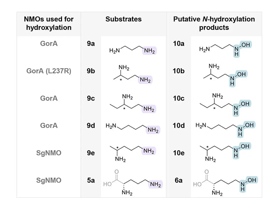 Open access visualization of Table Image, Chemical Structure, NMOs, N-hydroxylated Substrates, PZSs