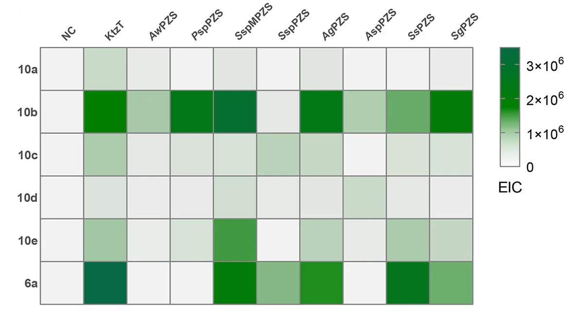Open access visualization of Heatmap, N-N Bond-Forming Activity, PZSs, Reaction Conditions, Extracted Ion Chromatogram