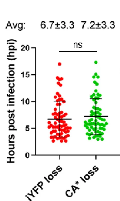Open access visualization of Scatter Plot, Error Bars, CA* Capsid, Gag-iYFP, Integrity Loss