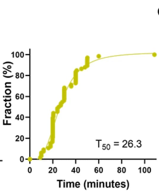 Open access visualization of Line Plot, Scatter Plot, Integrity Loss, Uncoating, Lag Time