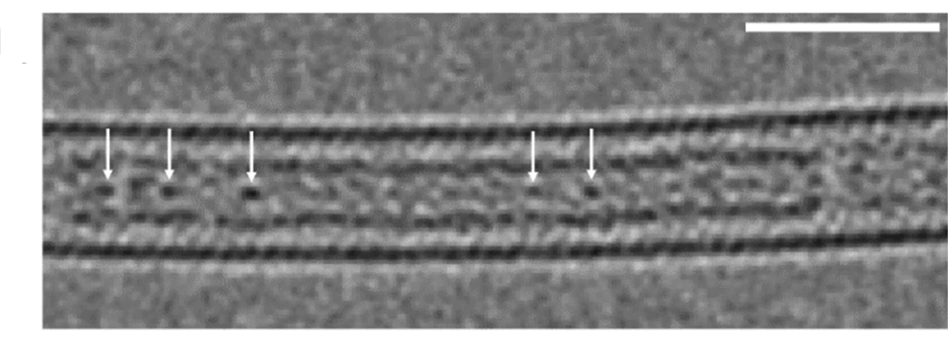 Open access visualization of Microscopy, AC-HRTEM, nkrc60n@SWCNT, Coalescence, Krc60