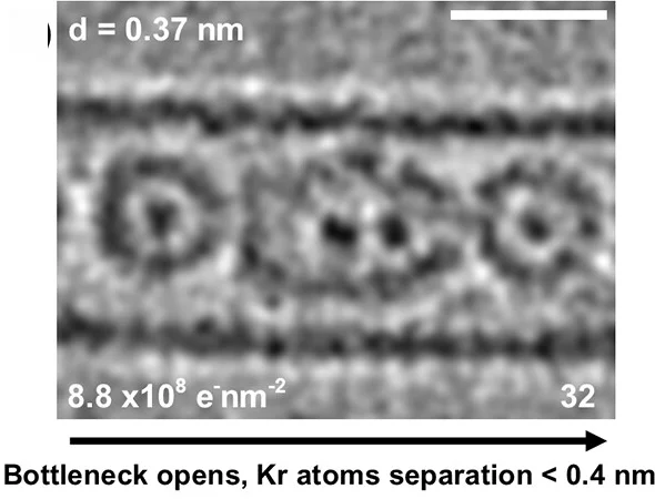 Open access visualization of Microscopy, AC-HRTEM Images, Kr@C60 Molecules, SWCNT, Electron Fluence