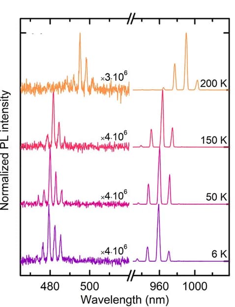 Open access visualization of Line Plot, PL Spectra, SAE-Grown NW, Lasing Conditions, Temperature