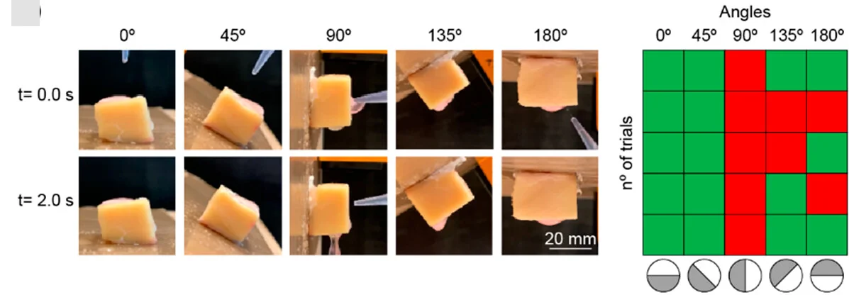Open access visualization of Photo, Heatmap, Illustration, Sliding Behavior, Cartilage Tissue
