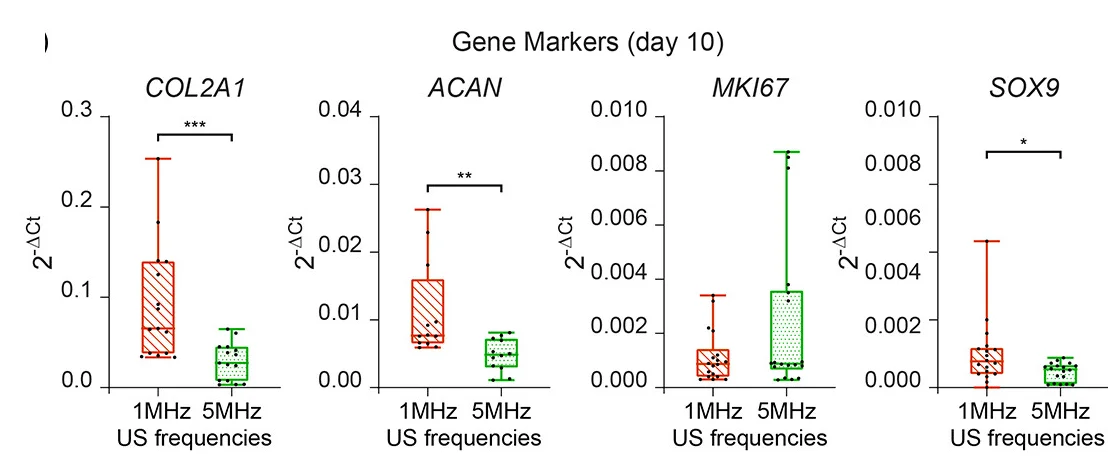 Open access visualization of Box Plot, Scatter Plot, Gene Expression, COL2A1, ACAN