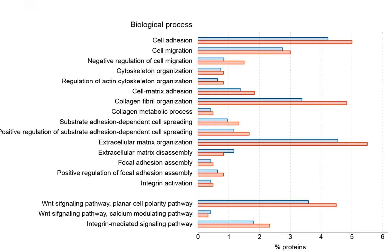 Open access visualization of Bar Plot, Clustered, Proteins, Gene Ontology, Biological Terms