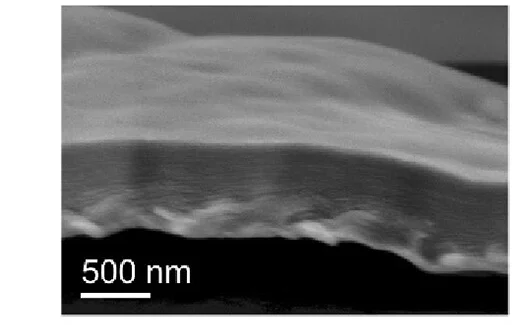Open access visualization of Microscopy, SEM Image, t-CN Layer, Cross-Section
