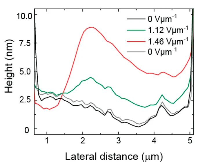 Open access visualization of Line Plot, Topography, Line Profiles
