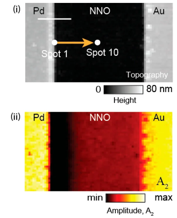 Open access visualization of Heatmap, Nanospectroscopy, H-NNO, Vibrational Modes, Doping Level