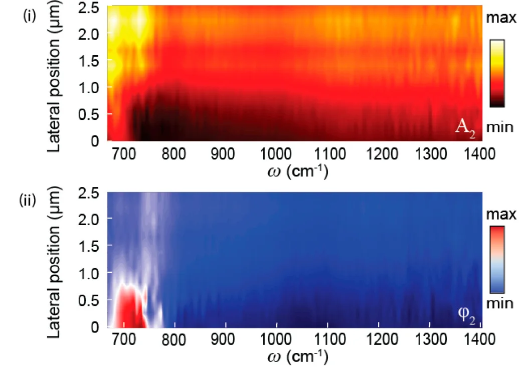 Open access visualization of Heatmap, Hyperspectral Amplitude, Phase Map, Topography