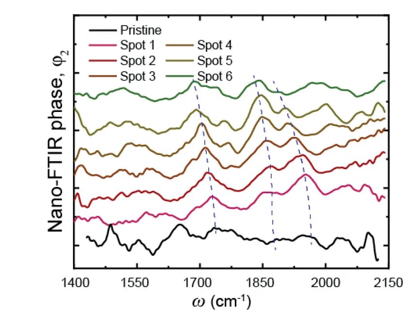 Open access visualization of Line Plot, Phase Spectra, NNO, Au Reference