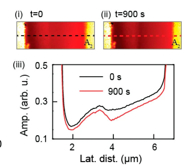 Open access visualization of Line Plot, Photo, Amplitude Images, Line Profiles