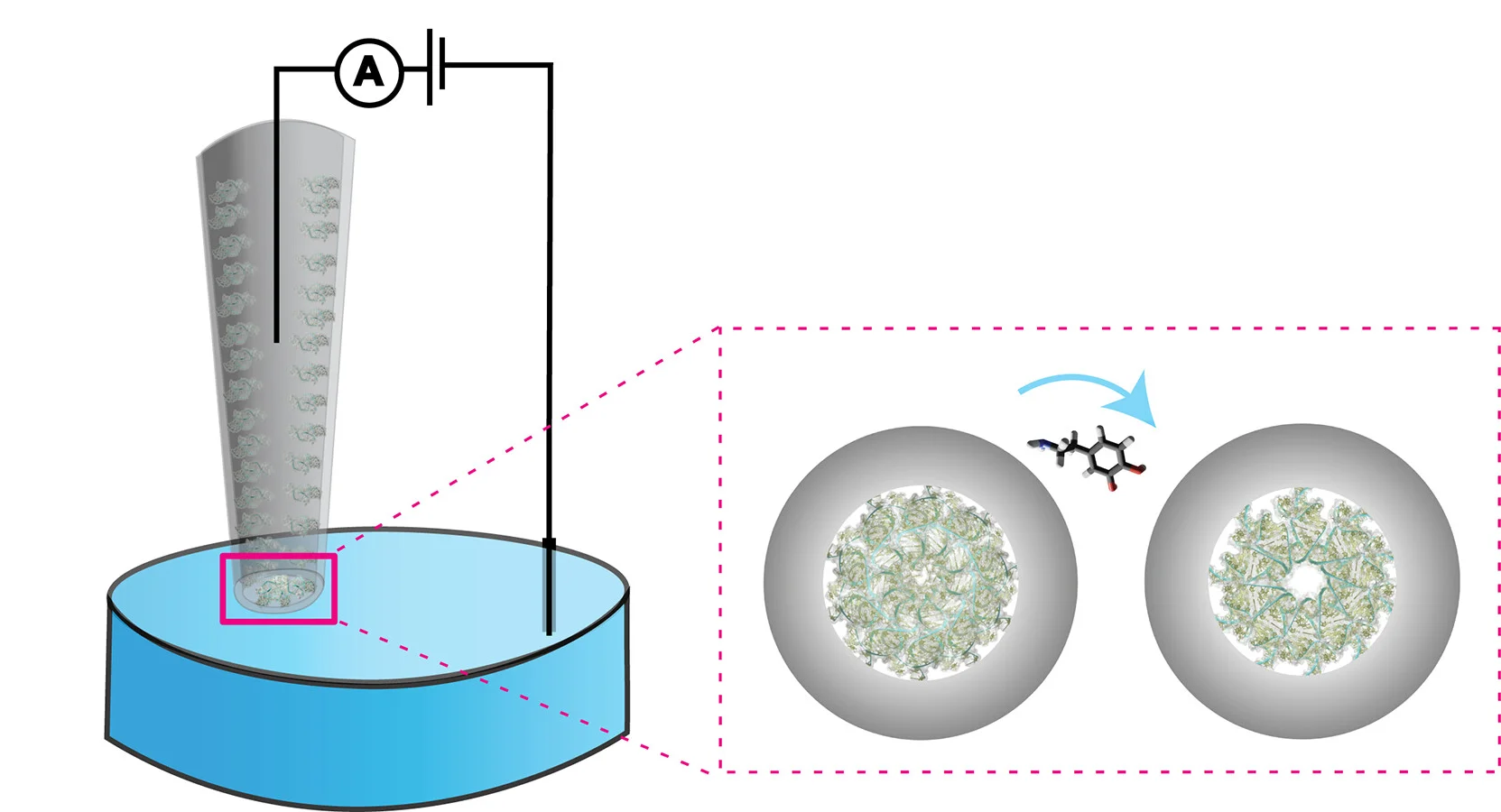Open access visualization of Illustration, Chemical Structure, Nanopipettes, Aptamers, Ionic Flux