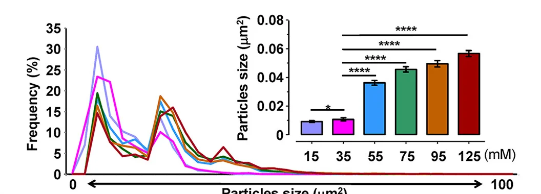 Open access visualization of Line Plot, Bar Plot, Error Bars, Transfection Efficiency, GFP-Positive Neurons