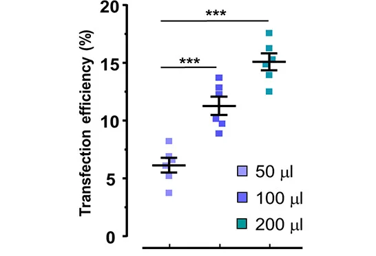 Open access visualization of Scatter Plot, Error Bars, Dot Plot Graph, Transfection Efficiency, Neural Stem Cells
