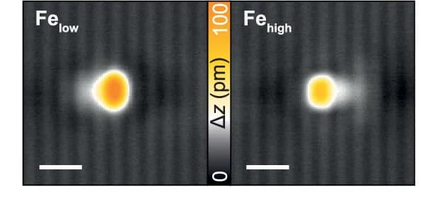 Open access visualization of Microscopy, STM Images, Iron Atom, Black Phosphorus, Orbital Memory States