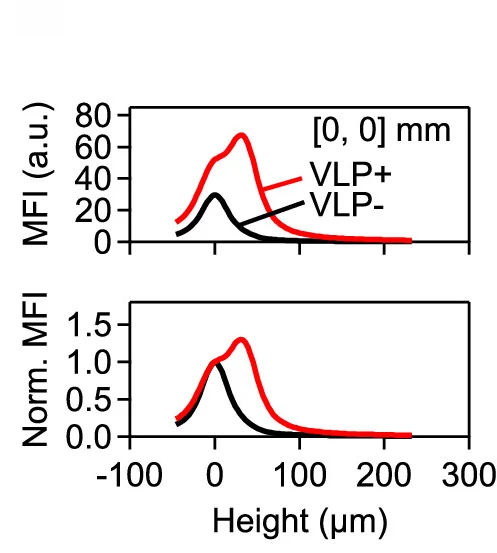 Open access visualization of Line Plot, Density Plot, Mean Fluorescence Intensity, Virus-Like Particles, Semipermeable Membrane
