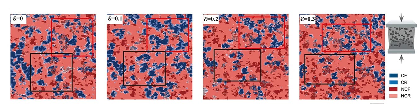 Open access visualization of Microscopy, Conductive Structure, Compressive Strain, Carbon Black, Infrared Rubber
