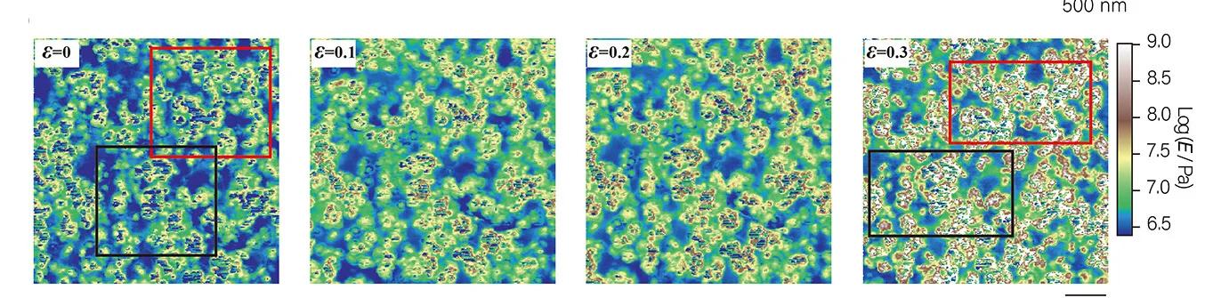 Open access visualization of Heatmap, Elastic Modulus, Compressive Strain, Carbon Black, Infrared Rubber